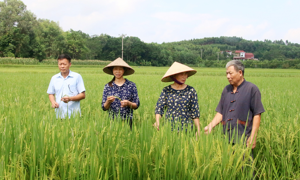 Học tập và làm theo Bác: Xây dựng điển hình để nhân rộng